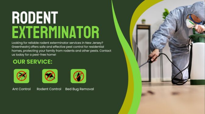 Your NJ Home Deserves the Best: Go-To Rodent Exterminator in New Jersey